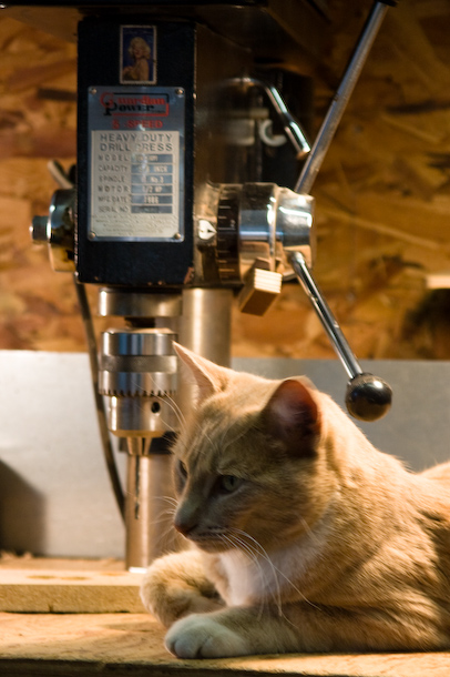 Michael Stevens workshop archive photograph 39